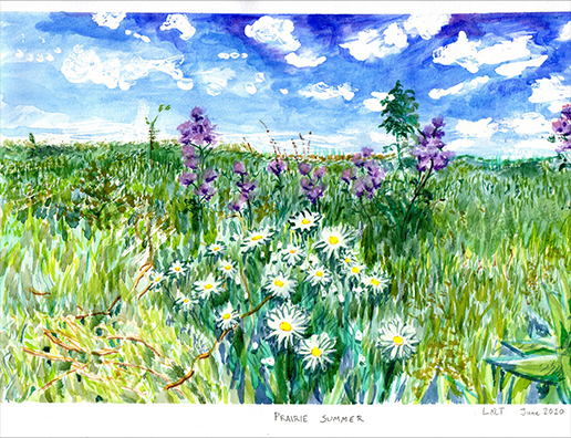 prairie summer 2020 watercolor